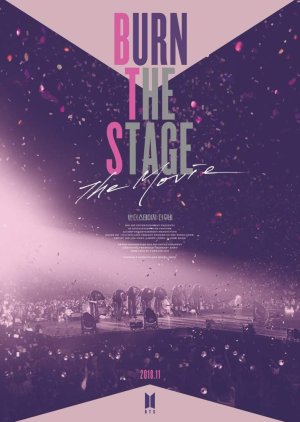 Burn The Stage: The Movie